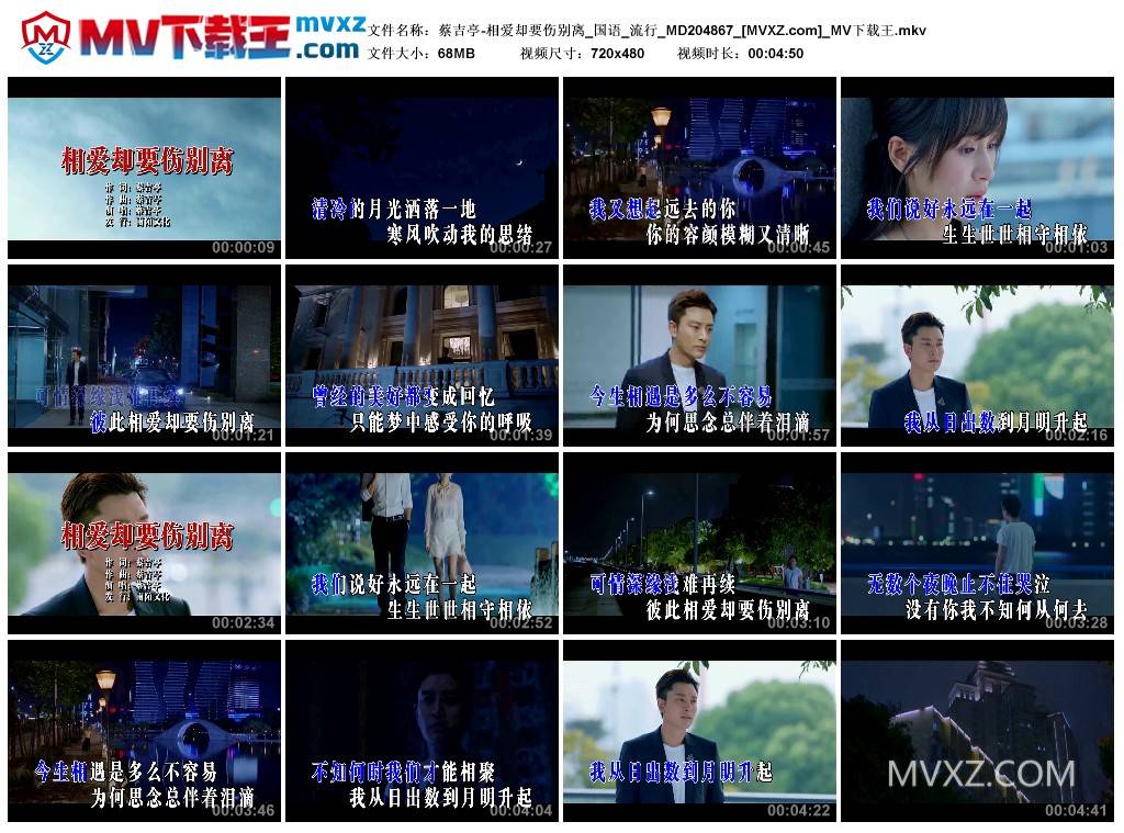 蔡吉亭-相爱却要伤别离_国语_流行_MD204867